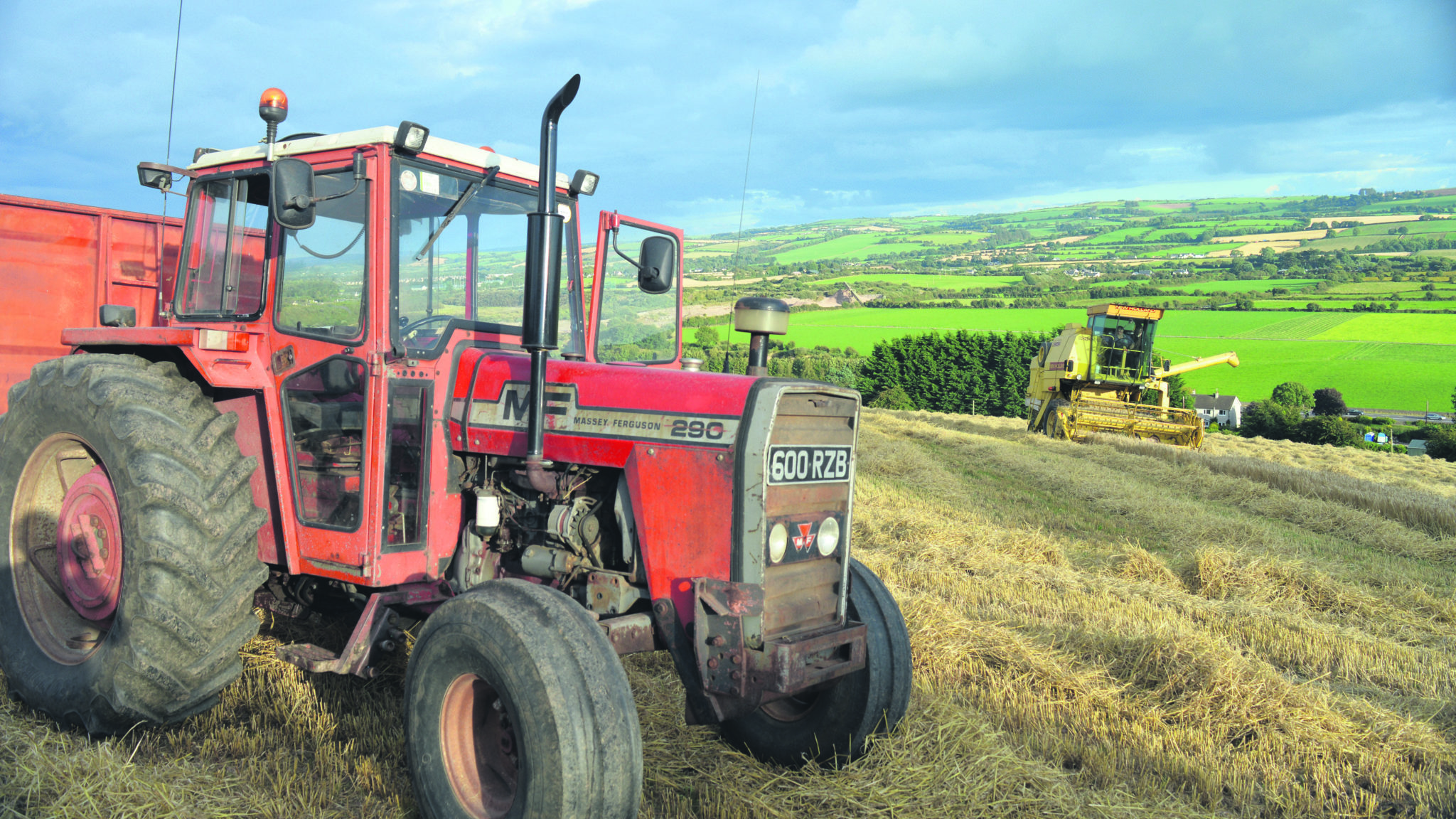 FARM CLASSICS: Massey Ferguson 290 – a back-to-basics machine