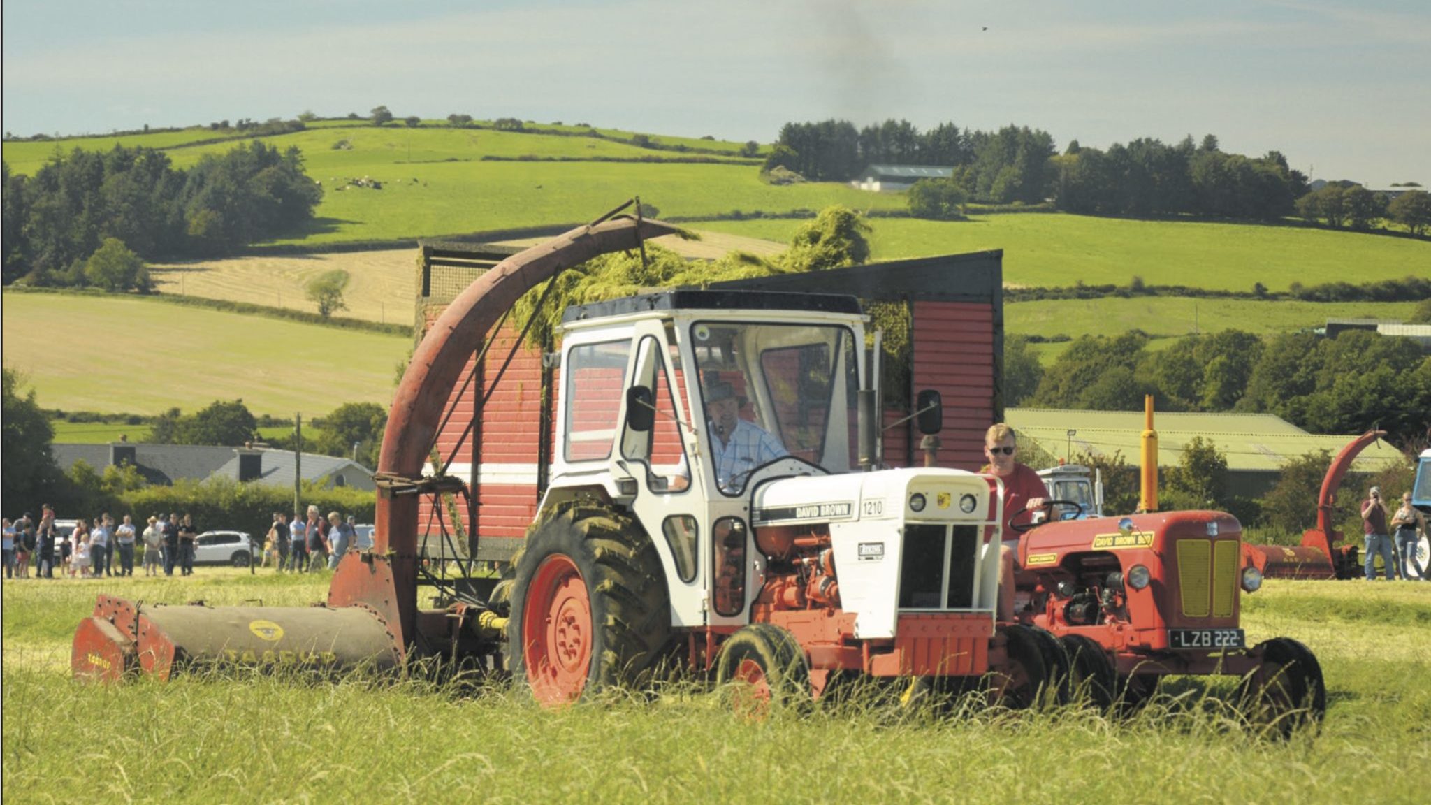 FARM CLASSICS: David Brown 1210 a small but mighty operator | Southern Star